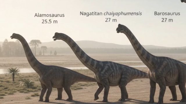 here is the list of top 10 largest